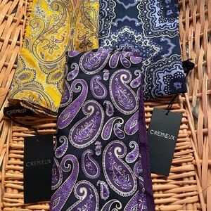 Daniel Cremieux Paisley Pocket Square